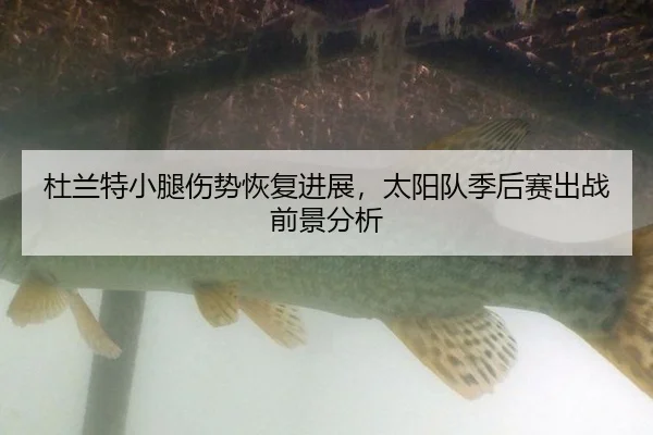 杜兰特小腿伤势恢复进展，太阳队季后赛出战前景分析