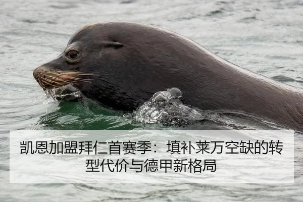 凯恩加盟拜仁首赛季：填补莱万空缺的转型代价与德甲新格局
